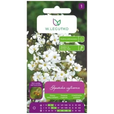 Насіння гіпсофіли витонченої W.Legutko White (5903837164004)