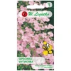 Семена гипсофилы изящной W.Legutko Pink (5903837164103)