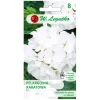 Семена пеларгонии клумбовой белой W.Legutko Gama F1 (5903837270057)