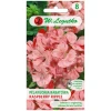 Семена пеларгонии клумбовой W.Legutko Raspberry Ripple Divas F1 оранжево-красной (5903837270316)