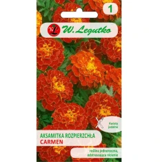 Насіння Чорнобривці розлогі W.Legutko 'Carmen' махагоново-червоні 1,50 г (5903837332427)