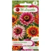 Насіння Цинія Витончена W.Legutko Dahlia 'Caroussel' мікс двобарвних (5903837358502)