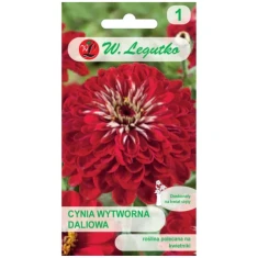 Насіння Цинія Витончена W.Legutko Dahlia 'Scarlet Flame' червона (5903837362301)