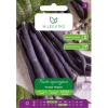 Семена фасоли спаржевой W.Legutko Purple Teepee (5903837423569)