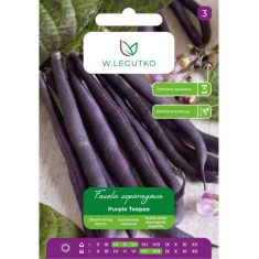 Насіння квасолі спаржевої W.Legutko Purple Teepee (5903837423569)