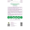 Насіння огірка грунтового консервного W.Legutko Octopus F1 (5903837453207)