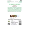 Насіння петрушки кореневої W.Legutko Cukrowa ранній сорт (5903837458103)