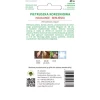 Насіння Петрушка коренева W.Legutko Halblange (5903837458370)