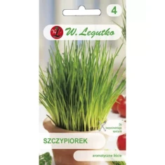 Насіння Цибуля-шніт W.Legutko Medium leaf (5903837481002)