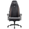 Крісло геймерське Diablo Chairs X-Eye 2.0 Normal Size Black (1612)