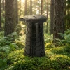 Табурет телескопічний складний Geffy (GF205108)