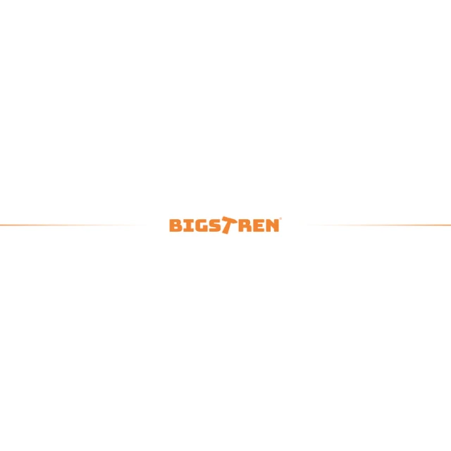 Ключ динамометричний Bigstren 1/4