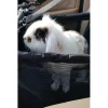 Переноска для собак Purlov на сиденье (5904665713136)