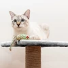 Кігтеточка для котів Purlov 4-поверхова 71 см Grey (5904665713211)