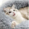 Лежак для собак Purlov M Grey (5904665713334)