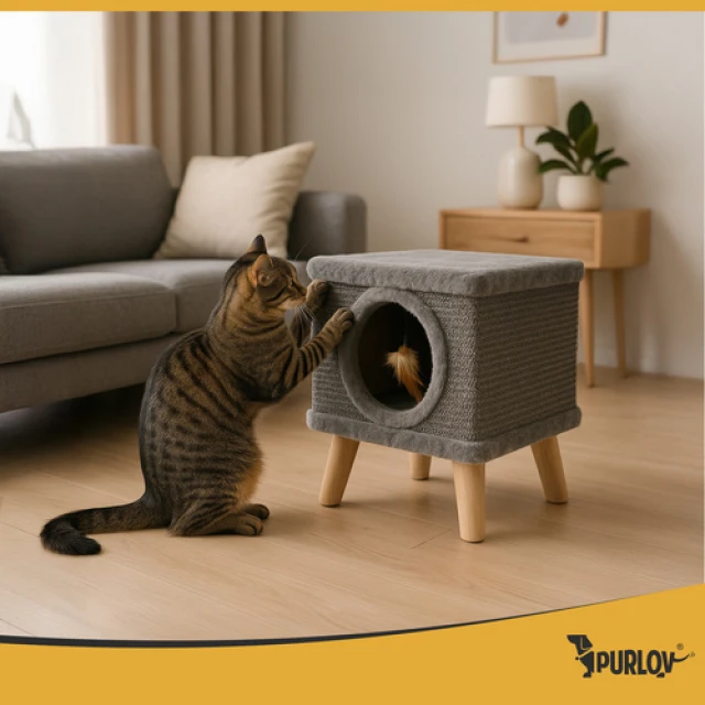 Будиночок з лежаком для котів Purlov (5904665713754)