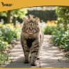 Шлейка для собак і котів Purlov M (5904665713891)
