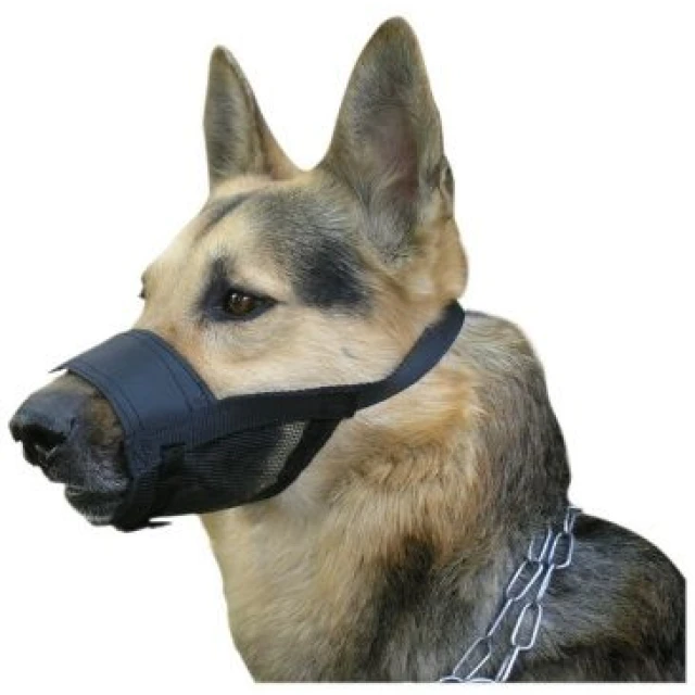 Намордник ветеринарный нейлоновый для собак Dingo размер 5 23–28 см (5904760167773)