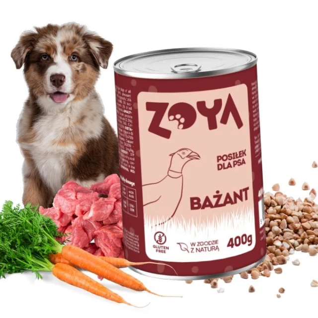 Вологий корм для собак ZOYA з фазаном 400 г (5904844580412)
