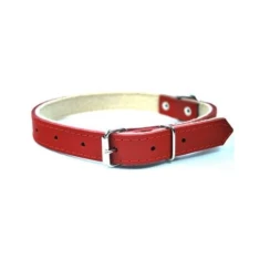 Нашийник для собак Chaba шкіряний 18x50 см Red (5905133600521)