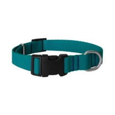 Нашийник для собак Chaba Classic регульований 16 мм (M) Turquoise (5905133650342)
