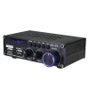 Підсилювач аудіо BlitzWolf AS-22 45W Black (5905316141117)