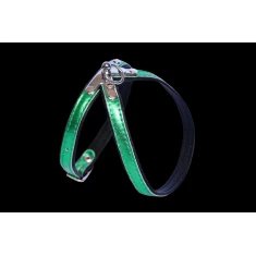 Шлейка для собак Zooleszcz Spring M 40 см Green (5905527315116)