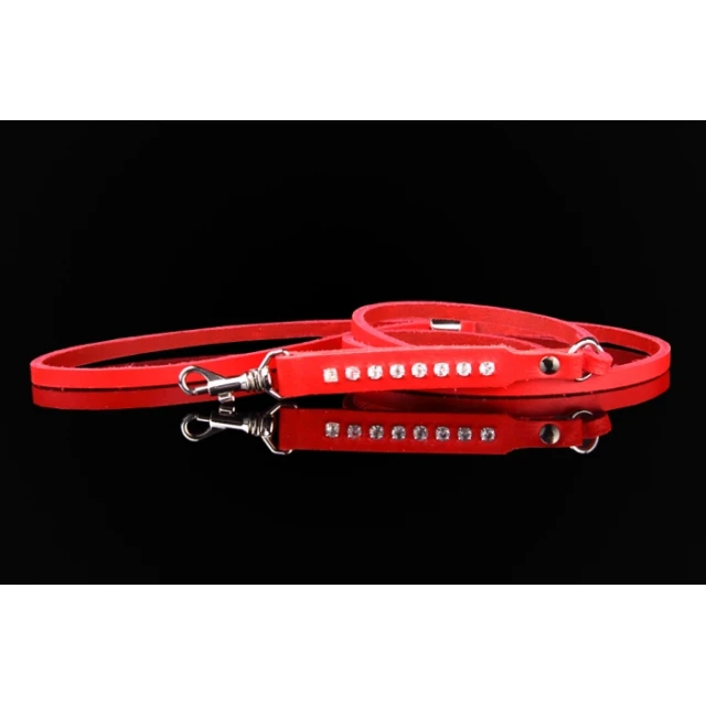 Повідець для собак Zooleszcz з цирконієм 12 мм 130 см Red (5905527315468)