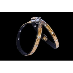 Шлейка Zooleszcz Spring Krysztal M 40 см Gold (5905527316168)