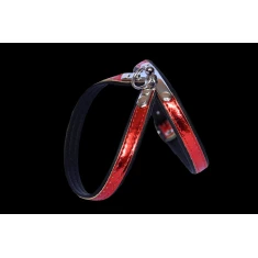 Шлейка для собак Zooleszcz Spring M 40 см Red (5905527316496)