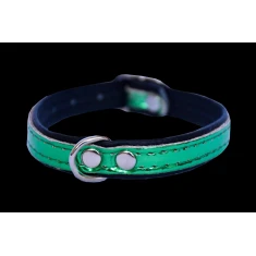 Нашийник для собак Zooleszcz Spring 12 мм 25 см Green (5905527316618)
