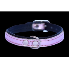 Нашийник для собак Zooleszcz Spring 14 мм 40 см Pink (5905527316748)