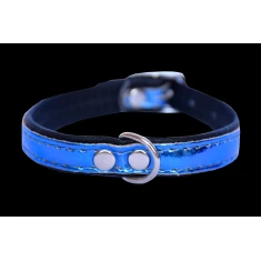 Нашийник для собак Zooleszcz Spring 14 мм 40 см Blue (5905527316755)