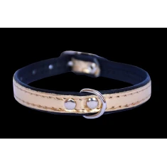 Нашийник для собак Zooleszcz Spring 14 мм 40 см Gold (5905527316779)