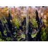 Акваріумний комплект Aquael Opti Bent Set Day & Night 20 Black (5905546330305)