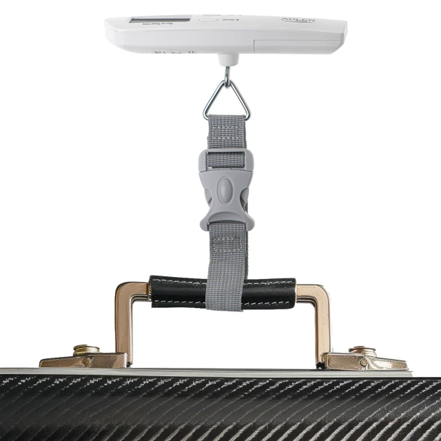 Ваги для багажу Adler AD 8191 50 кг Gray (5905575903785)