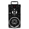 Портативна колонка Squeak Beatboxer Bluetooth 5.1 з караоке FM USB Black (5905610707002)