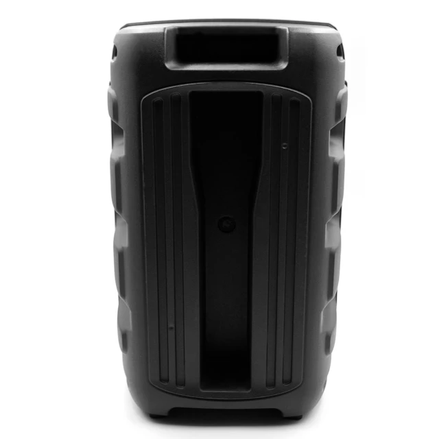 Портативна колонка Squeak PulseTower караоке Bluetooth 5.3 FM USB (5905610707064)