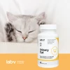 Кормова добавка для котів LAB-V Urinary Cat для сечовивідної системи 45 капсул (5905947787173)