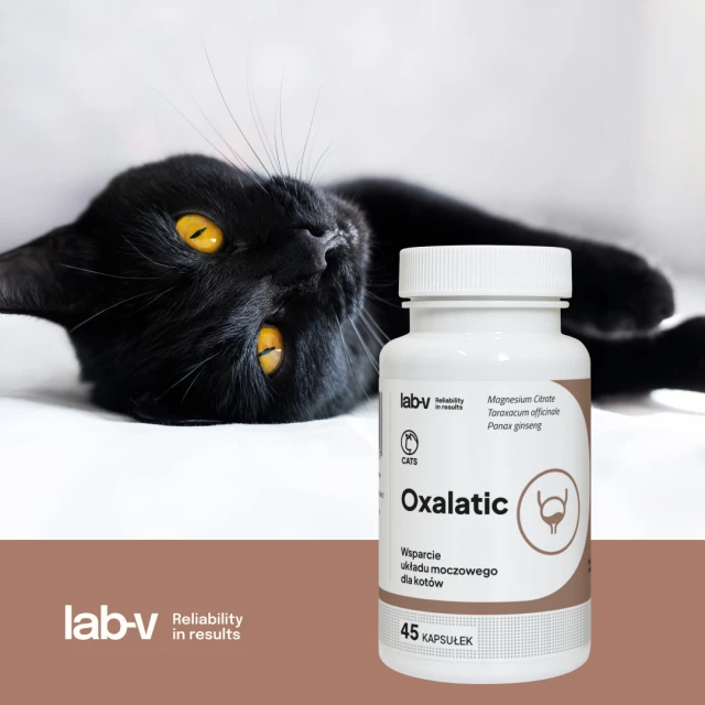 Кормова добавка для котів LAB-V Oxalatic при камінцях оксалатних 45 капсул (5905947787357)