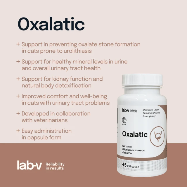 Кормова добавка для котів LAB-V Oxalatic при камінцях оксалатних 45 капсул (5905947787357)