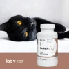 Кормова добавка для котів LAB-V Oxalatic при камінцях оксалатних 45 капсул (5905947787357)