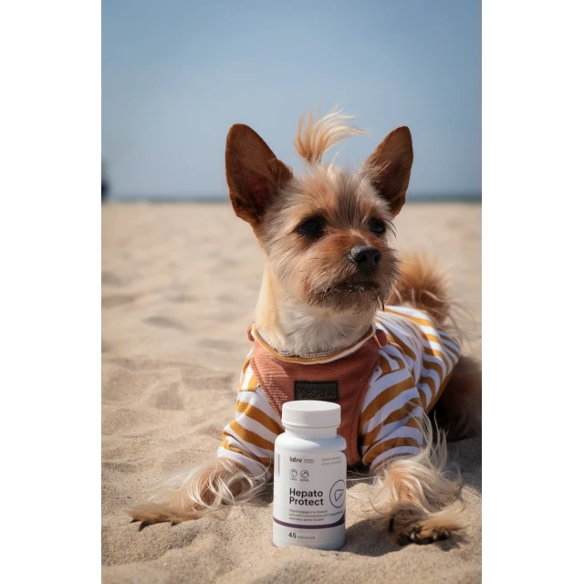 Кормова добавка для собак і котів LAB-V Hepato Protect для печінки 45 капсул (5905947787364)