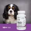 Кормова добавка для собак і котів LAB-V Hepato Protect для печінки 45 капсул (5905947787364)
