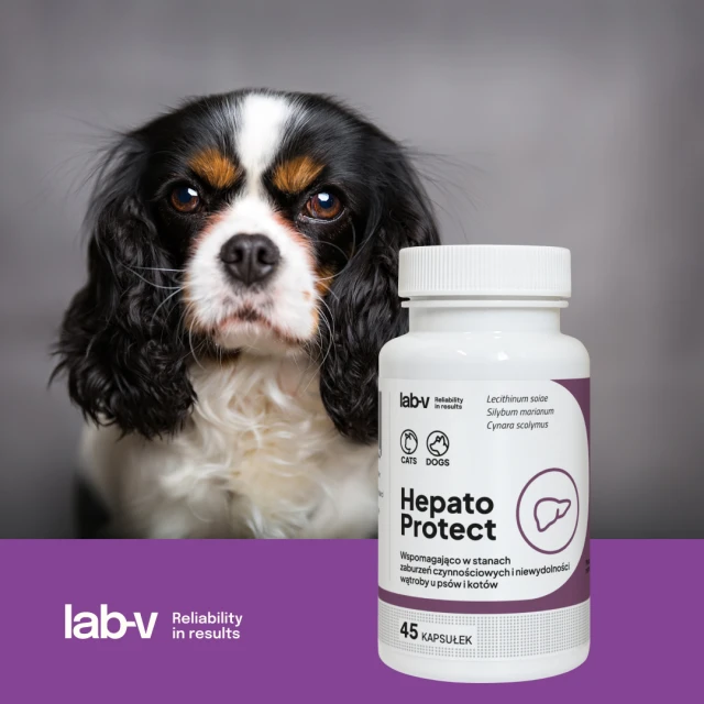 Кормова добавка для собак і котів LAB-V Hepato Protect для печінки 45 капсул (5905947787364)