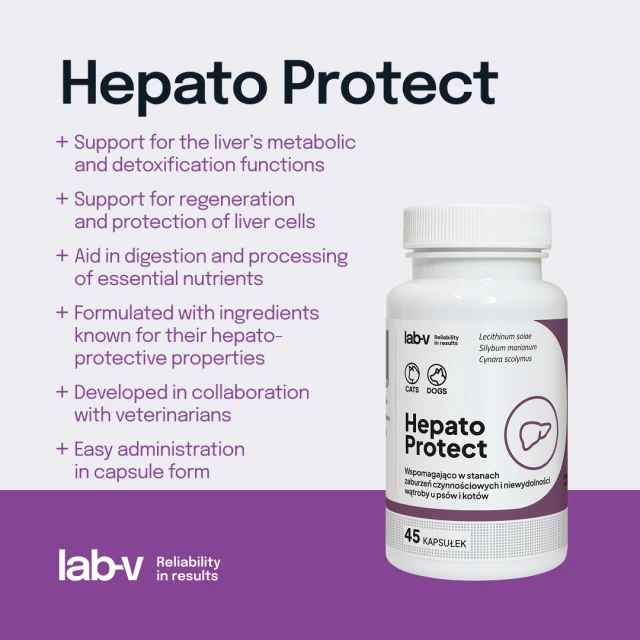 Кормова добавка для собак і котів LAB-V Hepato Protect для печінки 45 капсул (5905947787364)