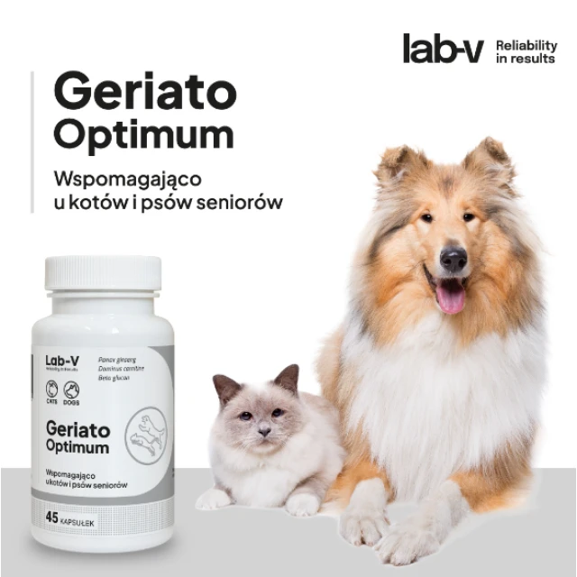 Кормова добавка для собак і котів LAB-V Geriato Optimum для літніх тварин 45 капсул (5905947787395)