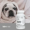 Кормова добавка для собак і котів LAB-V Geriato Optimum для літніх тварин 45 капсул (5905947787395)