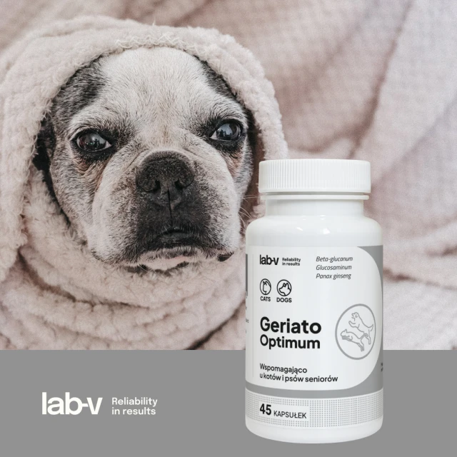 Кормова добавка для собак і котів LAB-V Geriato Optimum для літніх тварин 45 капсул (5905947787395)