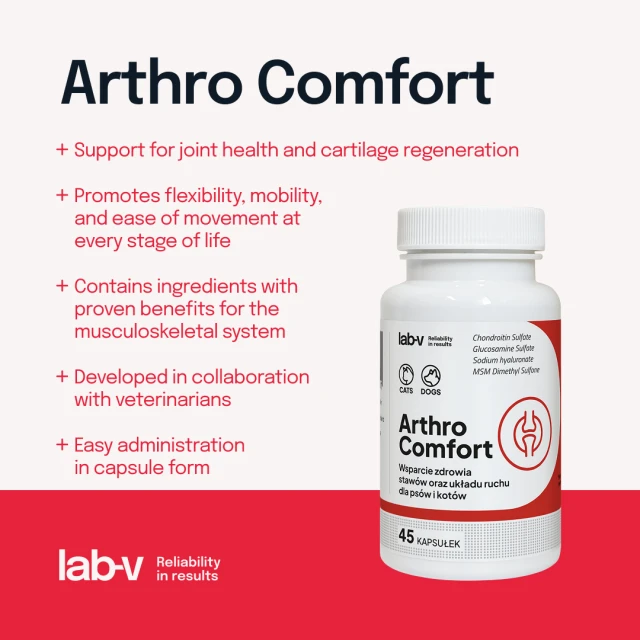 Кормова добавка для собак і котів LAB-V Arthro Comfort для суглобів 45 капсул (5905947787401)